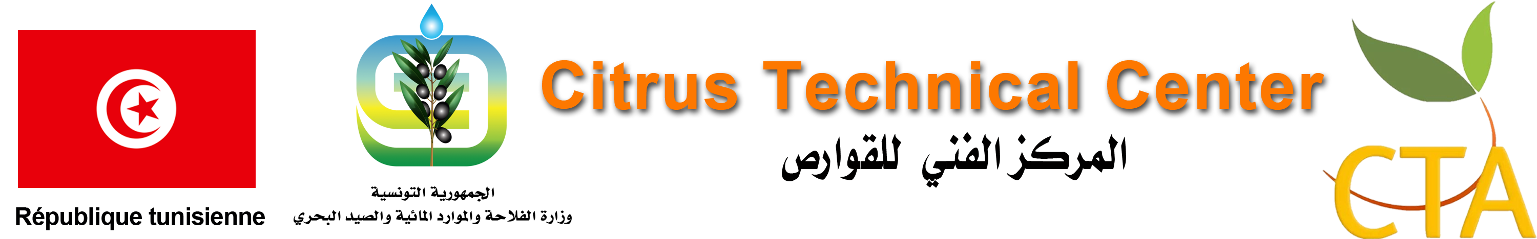 agrumes.site